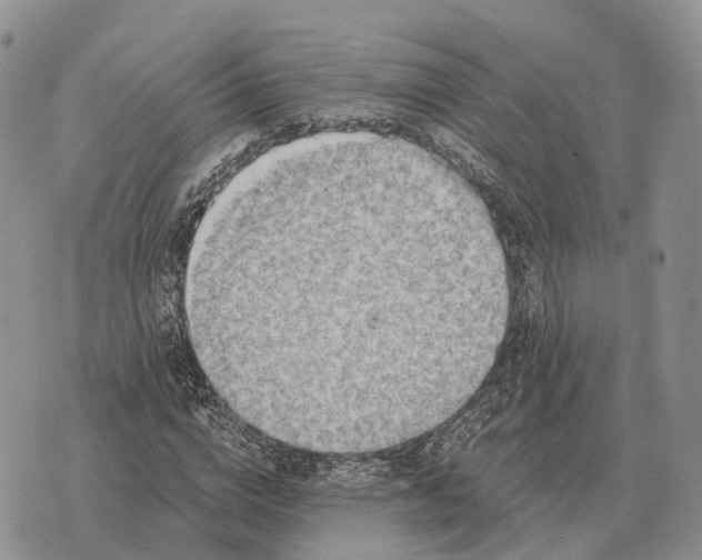 X0000072980824200608111739