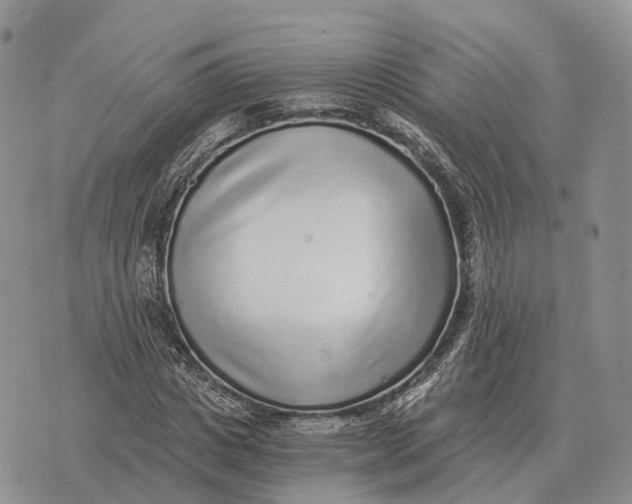 X0000072980825200608111739