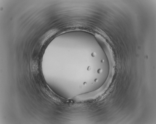 X0000072980826200608111739