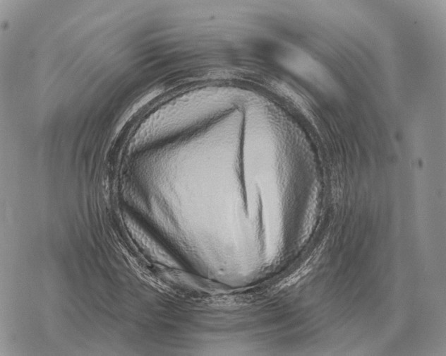 X0000072980827200608111739