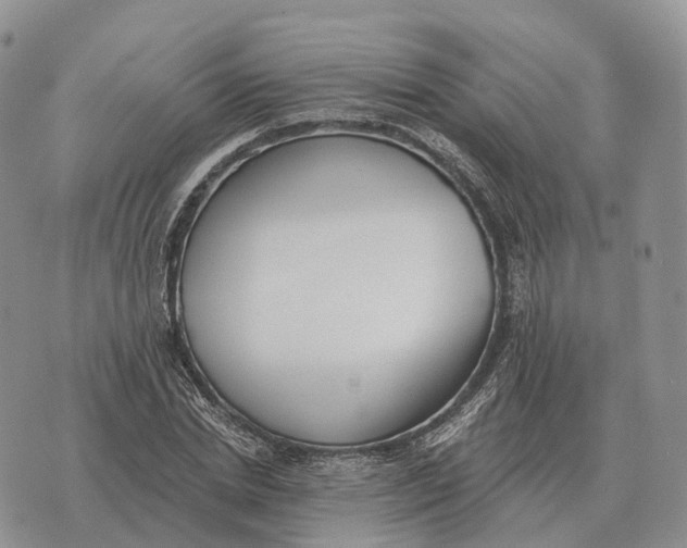 X0000072980830200608111739