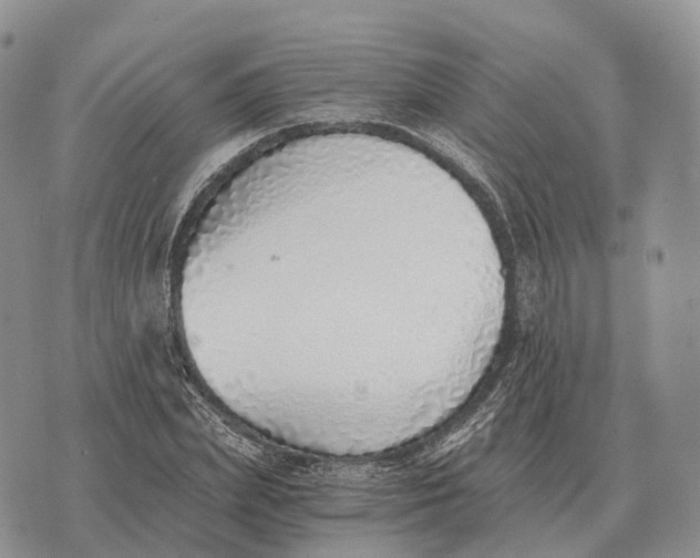 X0000072980831200608111739