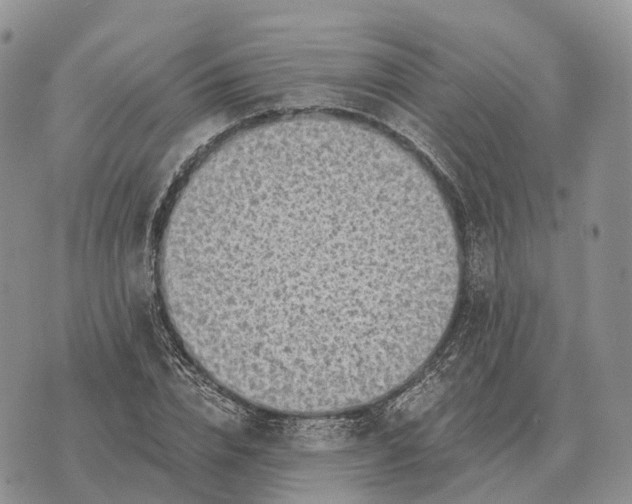 X0000072980832200608111739