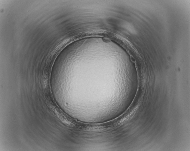 X0000072980833200608111739