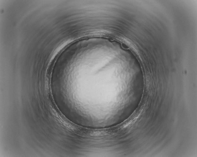 X0000072980835200608111739