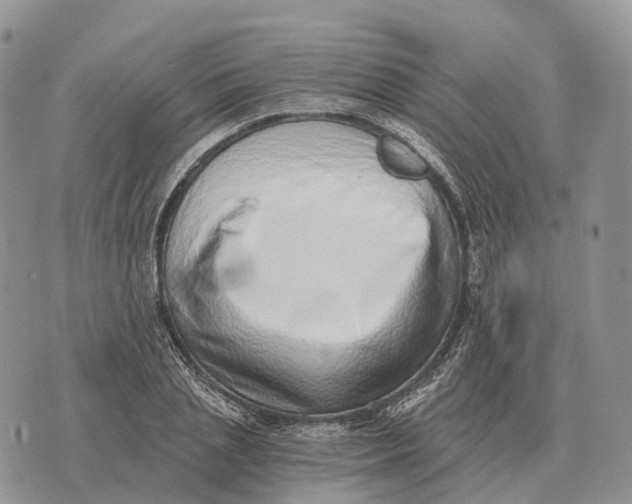 X0000072980837200608111739