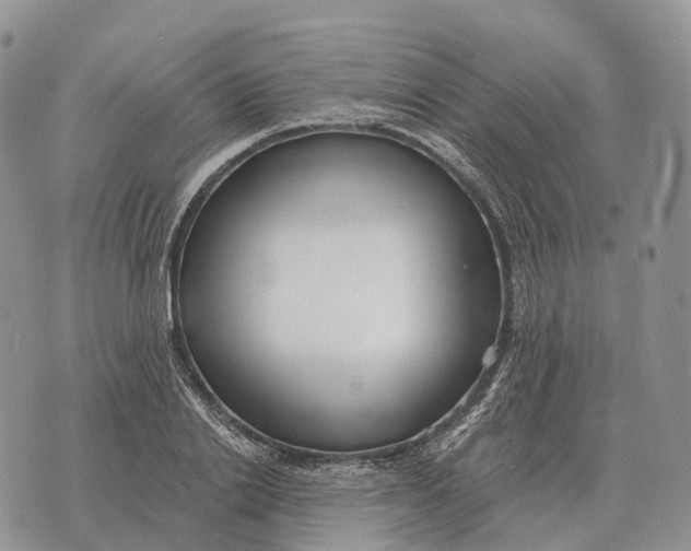 X0000072980838200608111739