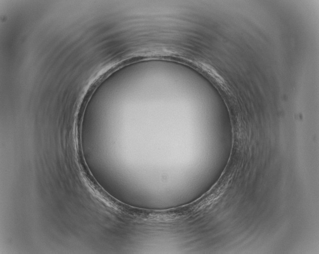 X0000072980840200608111739