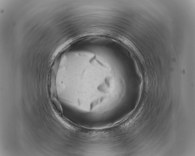 X0000072980842200608111739