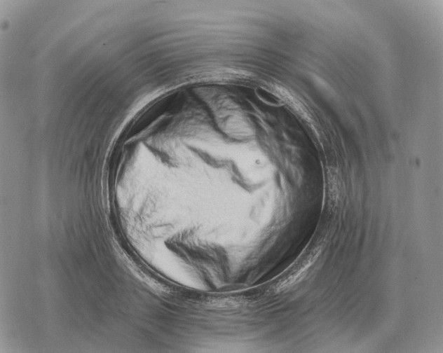 X0000072980843200608111739