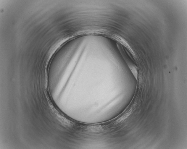 X0000072980844200608111739