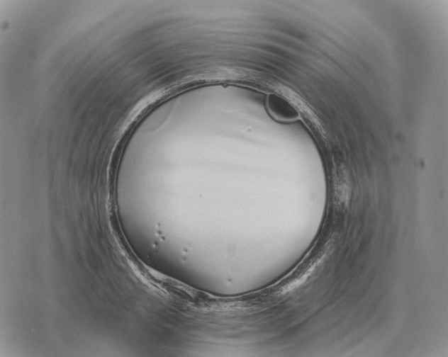 X0000072980845200608111739