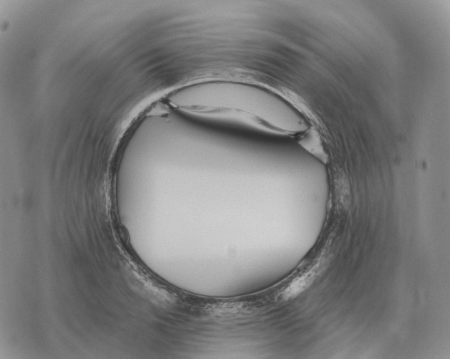 X0000072980846200608111739