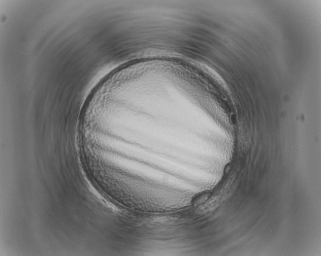 X0000072980847200608111739