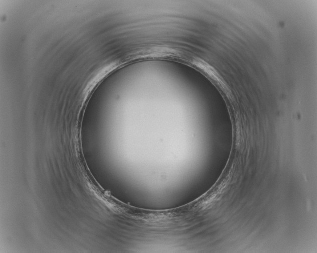 X0000072980850200608111739