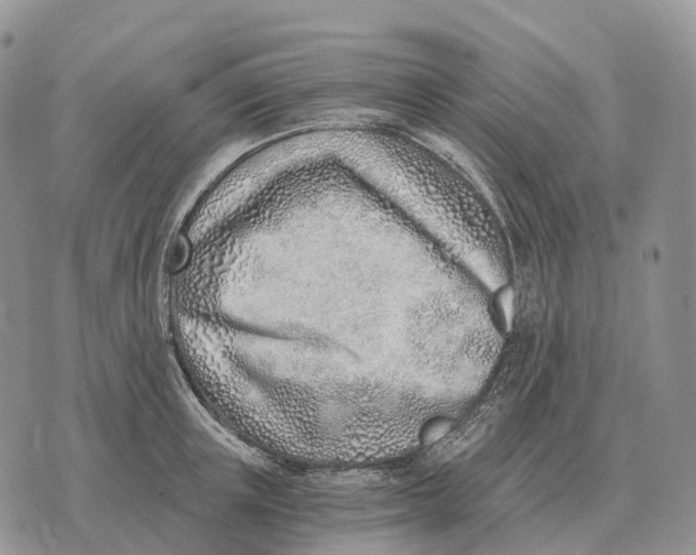 X0000072980851200608111739