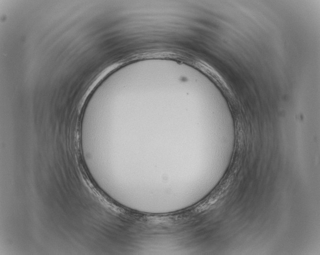 X0000072980852200608111739