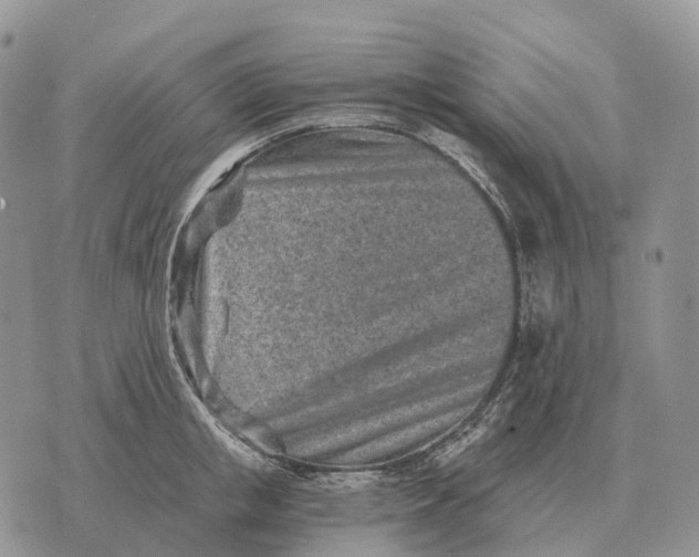 X0000072980853200608111739