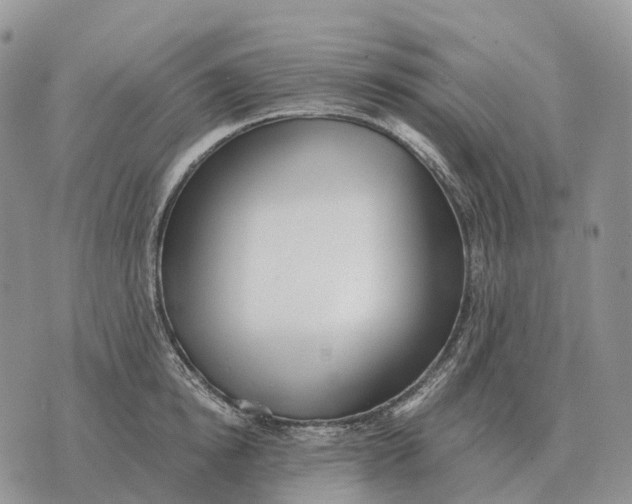 X0000072980854200608111739