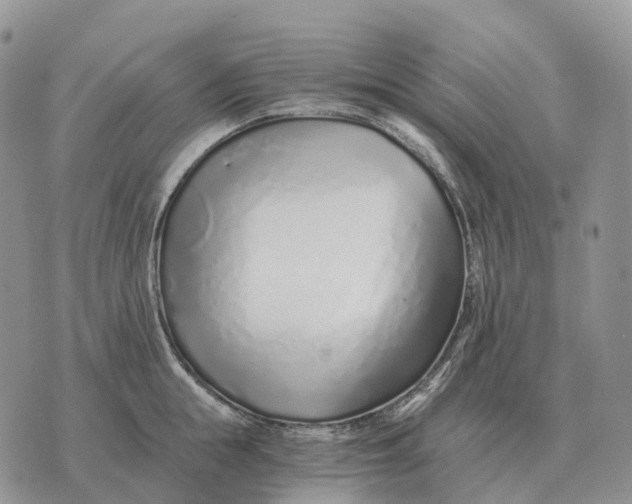 X0000072980855200608111739