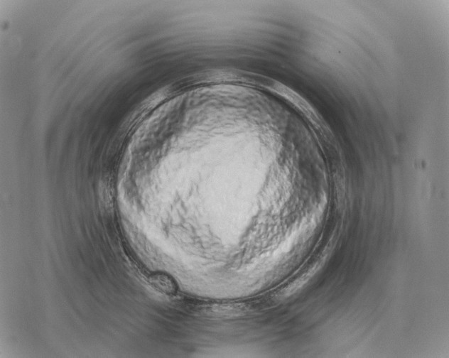 X0000072980857200608111739