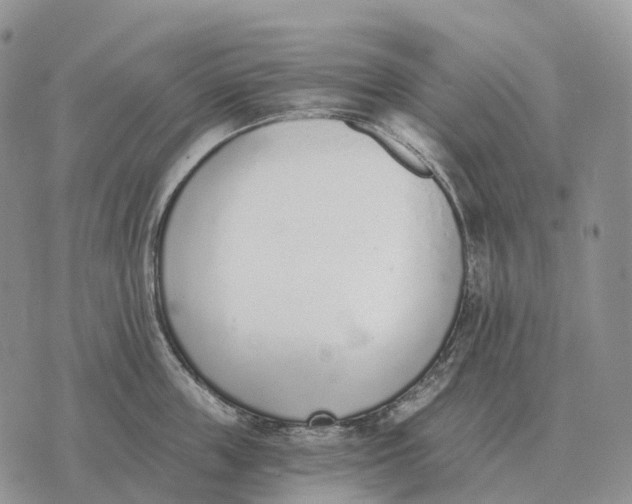 X0000072980859200608111739