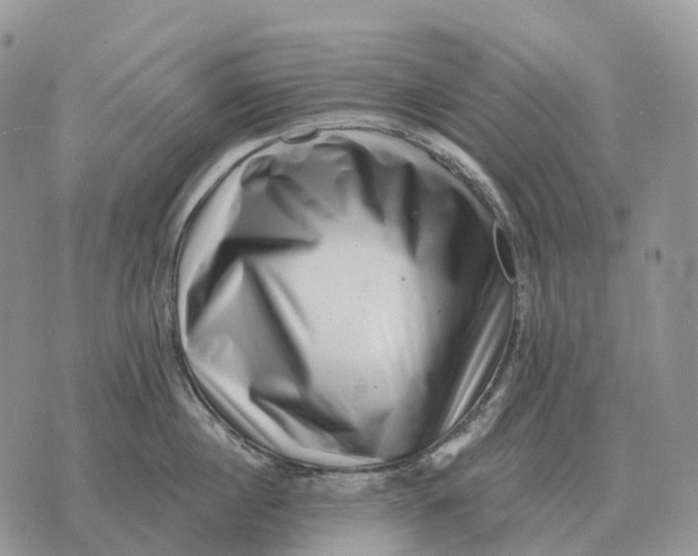 X0000072980860200608111740