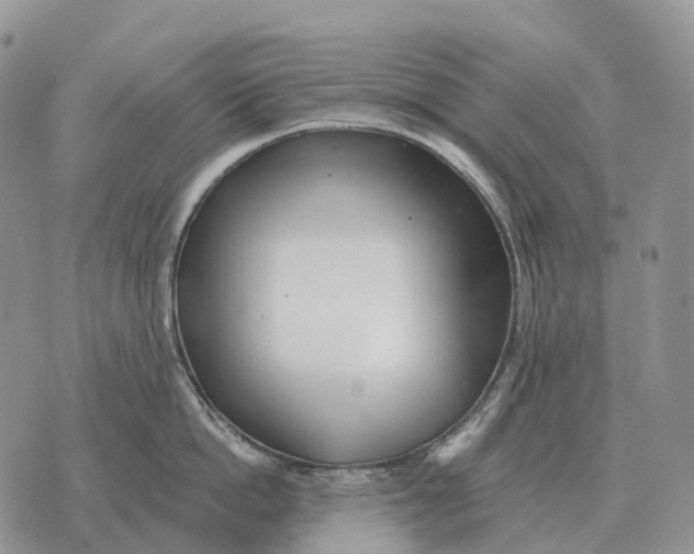 X0000072980862200608111740