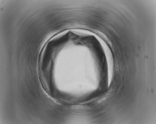 X0000072980863200608111740