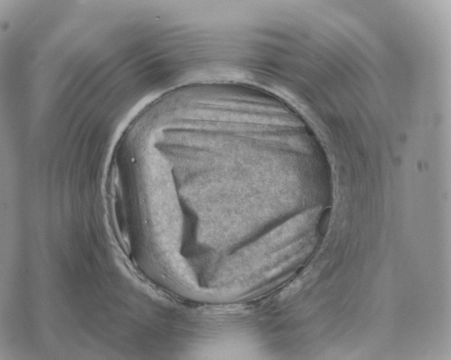 X0000072980864200608111740