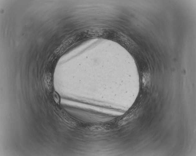 X0000072980867200608111739