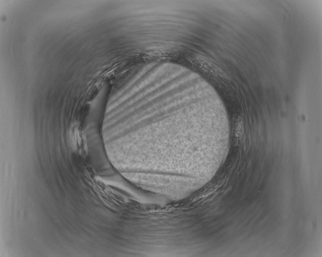 X0000072980868200608111739