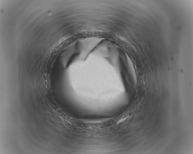 X0000072980870200608111739