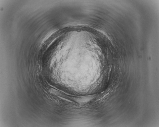 X0000072980871200608111739