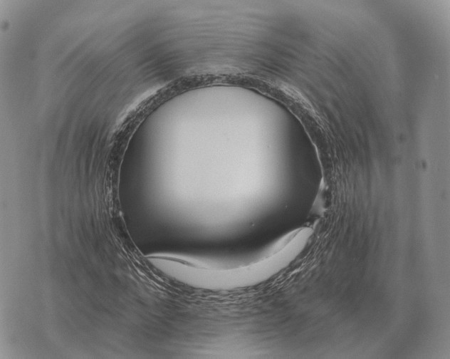 X0000072980872200608111739