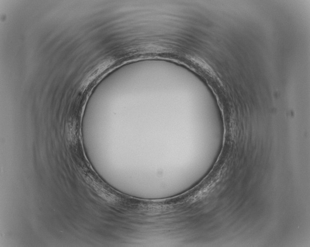 X0000072980873200608111739