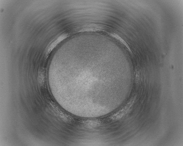 X0000072980874200608111739