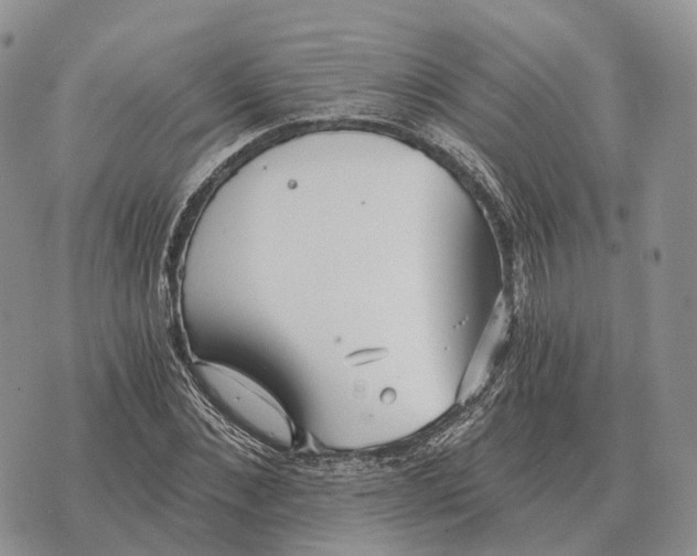 X0000072980876200608111739