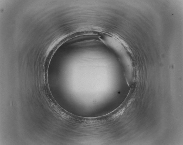 X0000072980877200608111739