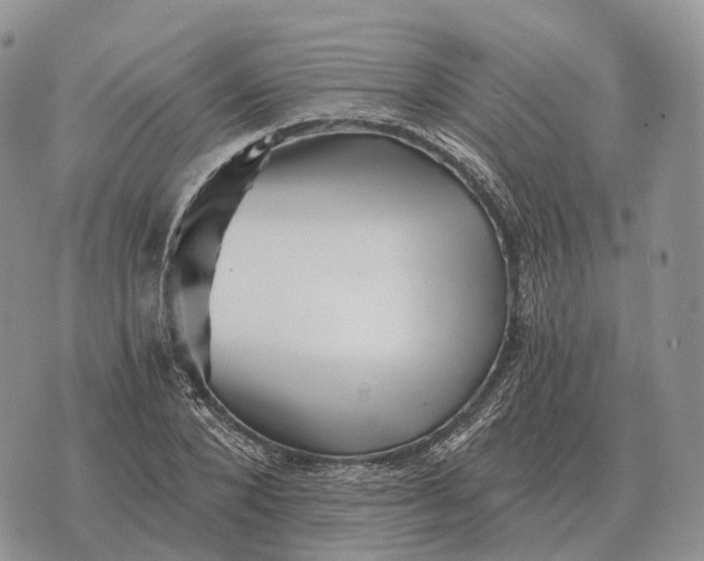 X0000072980880200608111739