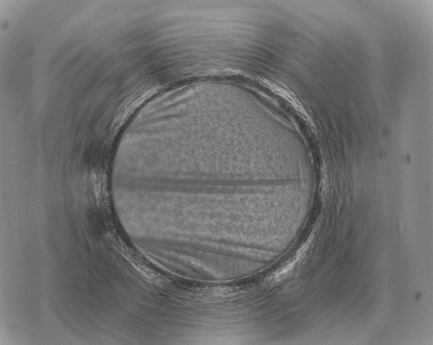 X0000072980881200608111739