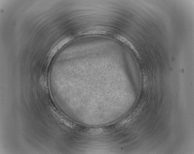 X0000072980882200608111739