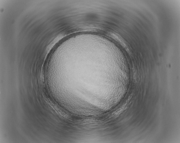 X0000072980883200608111739