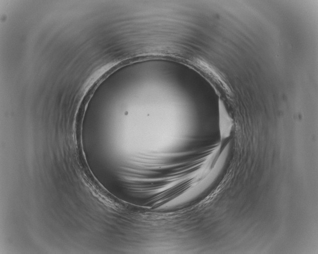 X0000072980884200608111738