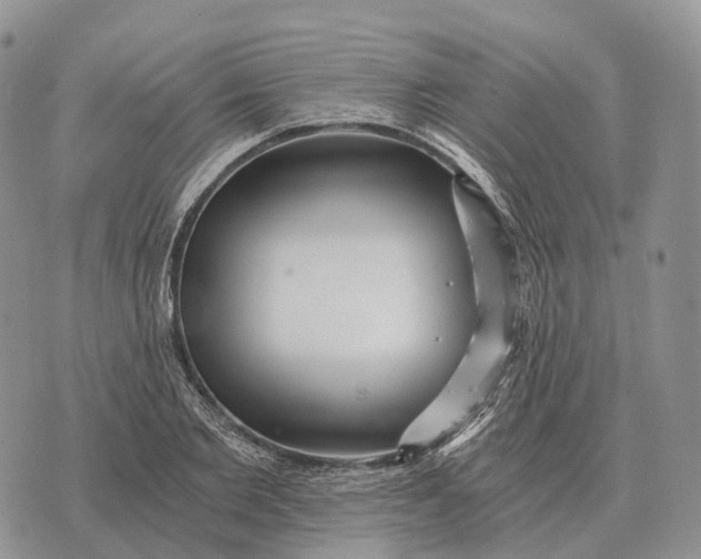 X0000072980885200608111738