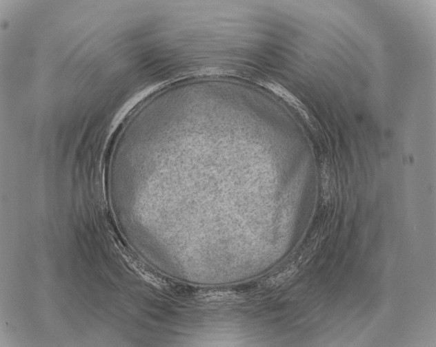 X0000072980886200608111738