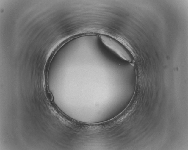 X0000072980888200608111738