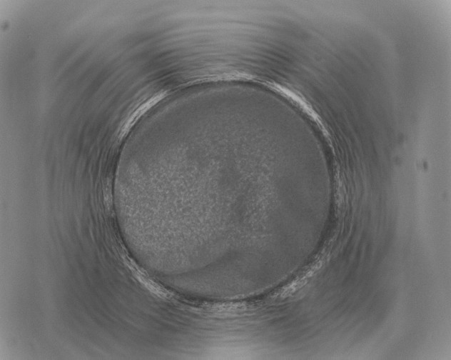 X0000072980889200608111738