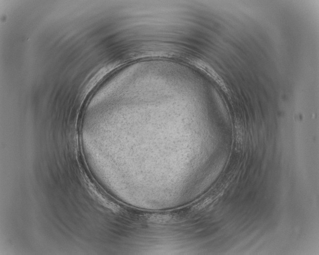 X0000072980890200608111738