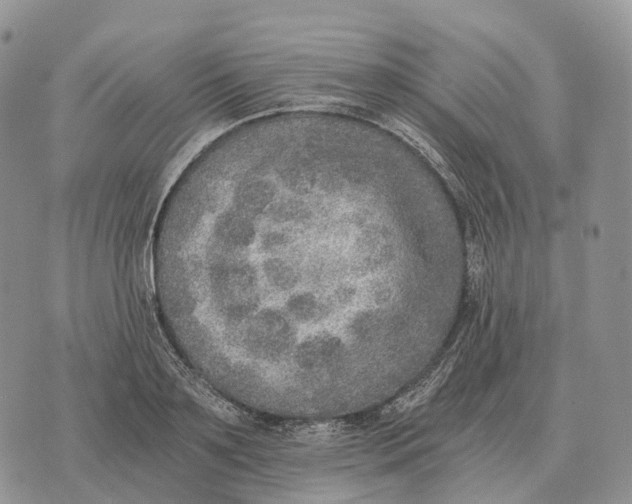 X0000072980891200608111738